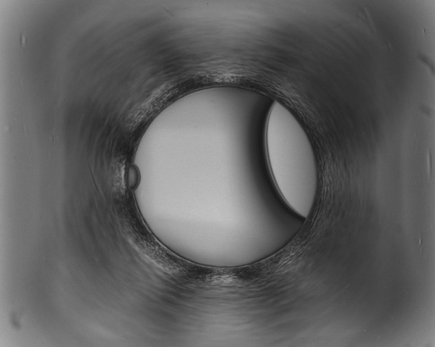 X0000100980262200806241155