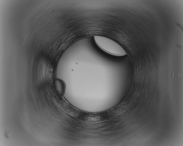 X0000100980263200806241155