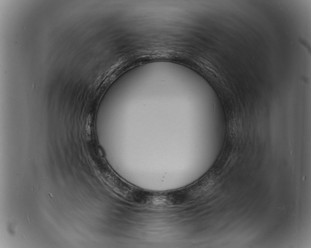 X0000100980264200806241155