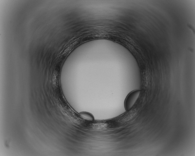 X0000100980266200806241155