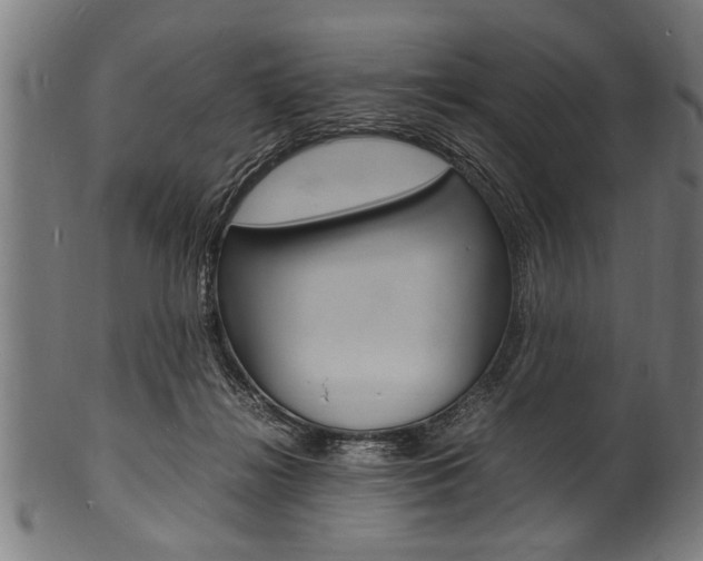 X0000100980268200806241155