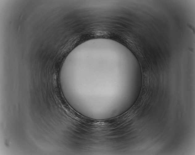 X0000100980269200806241155