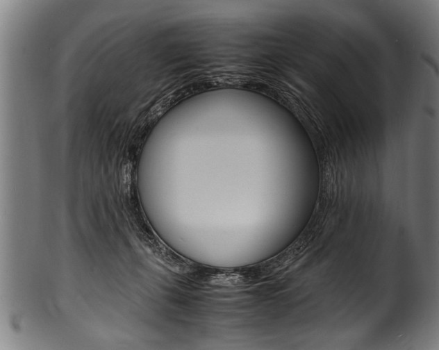 X0000100980271200806241155