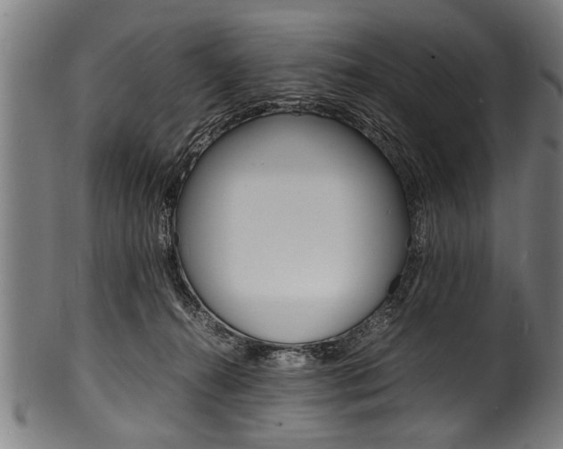 X0000100980272200806241155