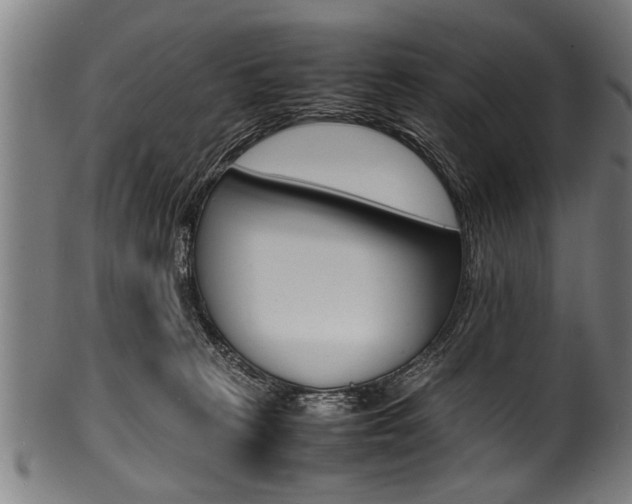 X0000100980273200806241155