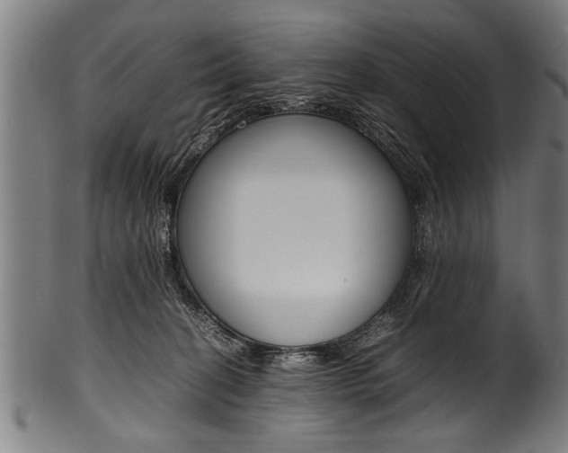 X0000100980274200806241155