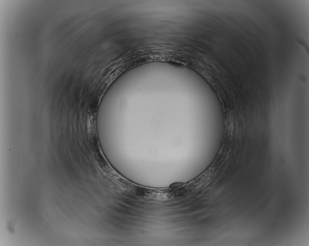 X0000100980276200806241155