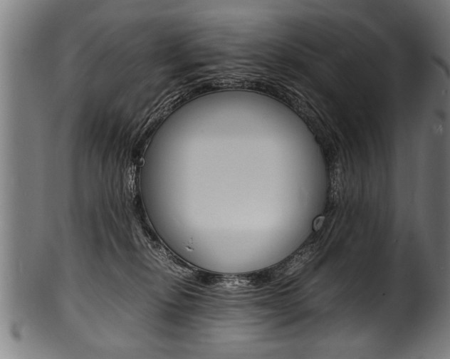 X0000100980278200806241155