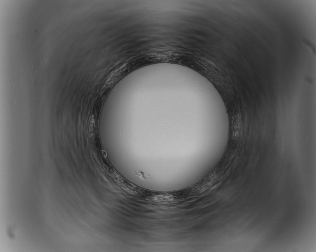 X0000100980279200806241155