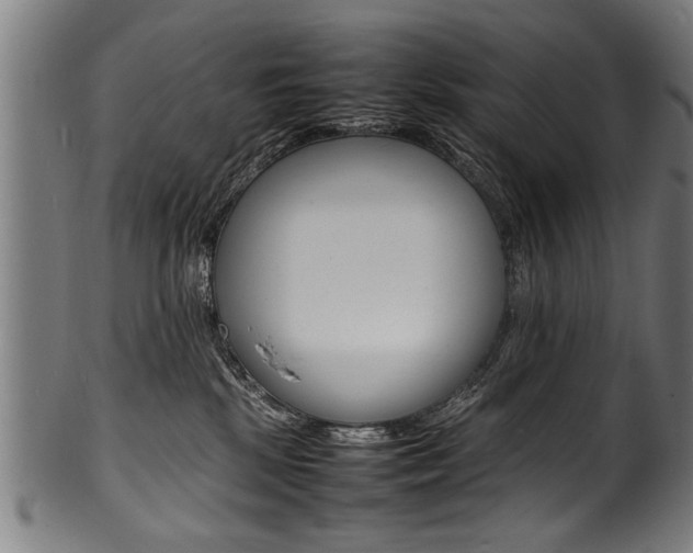 X0000100980281200806241155