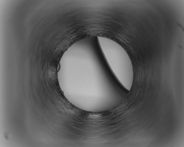 X0000100980283200806241155