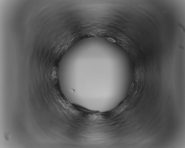 X0000100980284200806241155