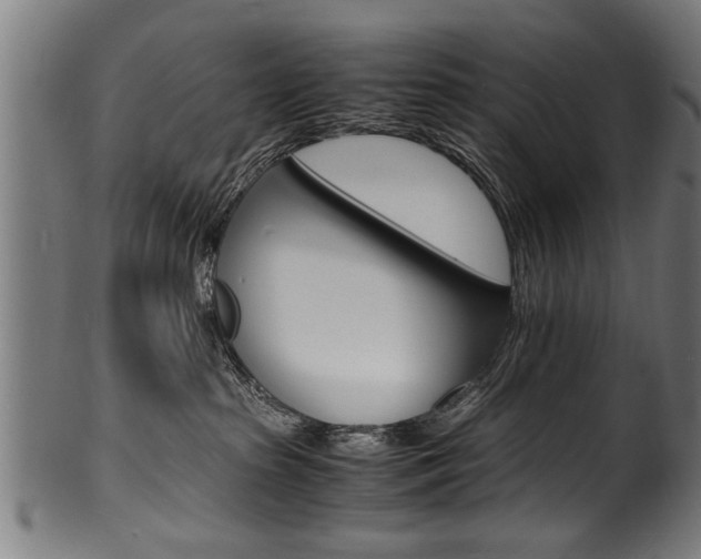 X0000100980285200806241155
