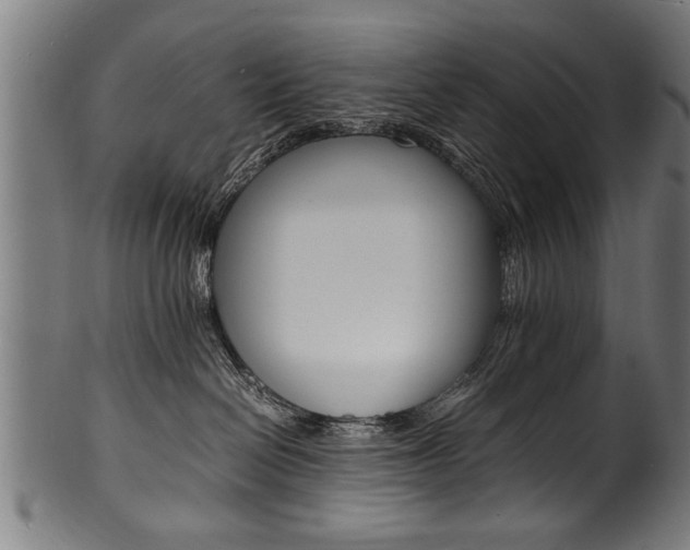 X0000100980286200806241155