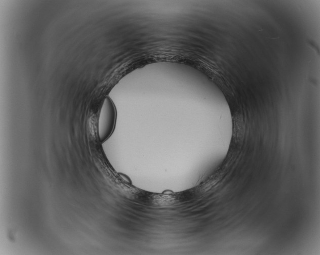 X0000100980287200806241155