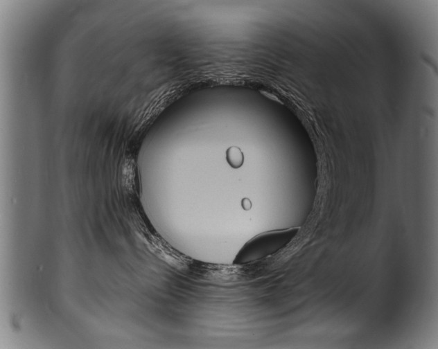 X0000100980288200806241155