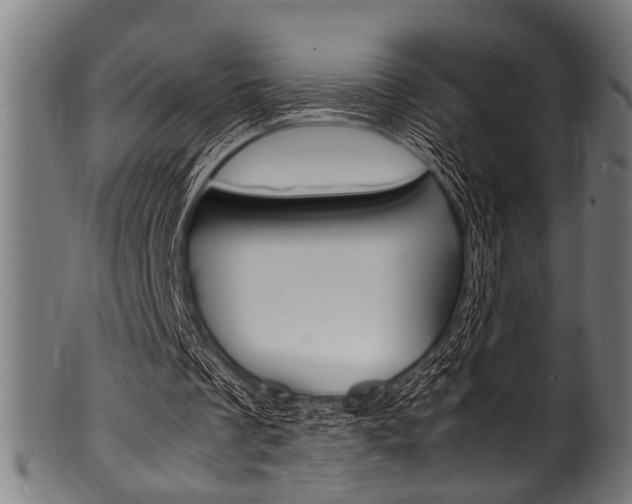 X0000100980289200806241155
