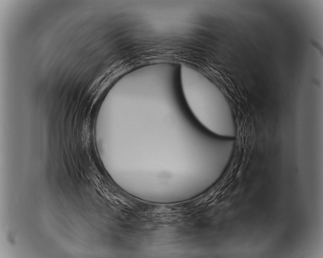 X0000100980290200806241155