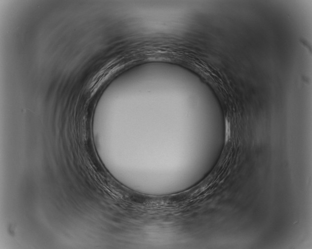 X0000100980291200806241155