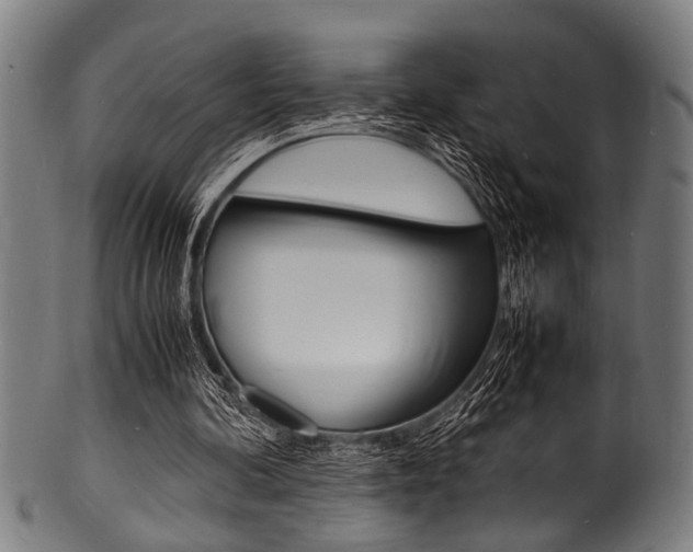 X0000100980292200806241155