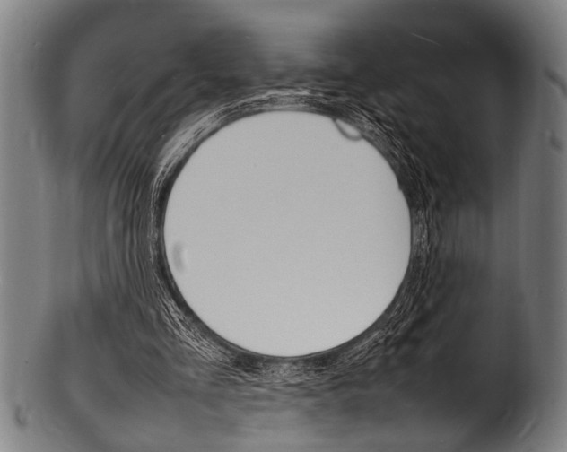X0000100980293200806241155