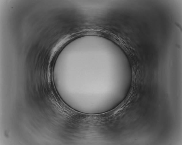 X0000100980294200806241155