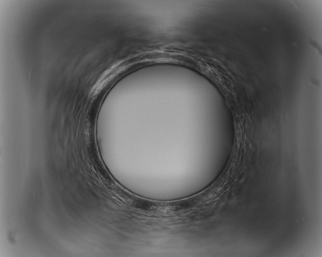 X0000100980295200806241155