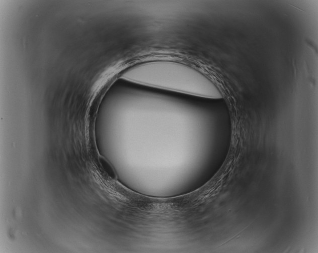 X0000100980296200806241155