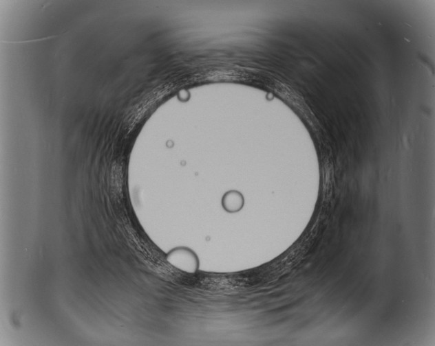 X0000100980297200806241155