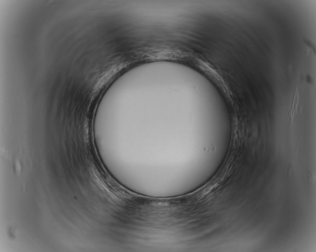 X0000100980298200806241155