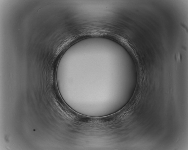 X0000100980299200806241155