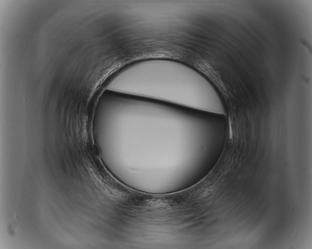X0000100980300200806241155