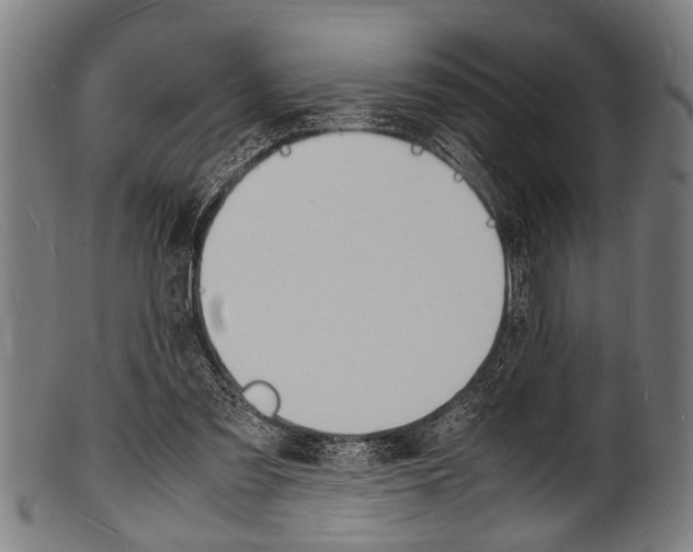 X0000100980301200806241155