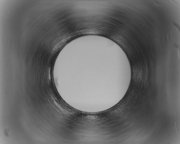 X0000100980302200806241155