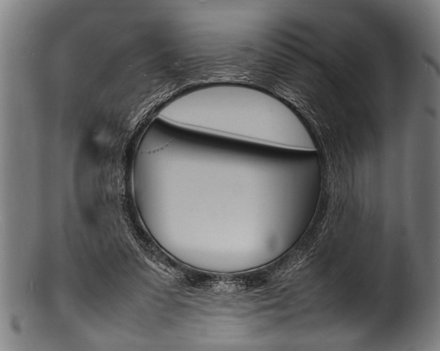 X0000100980303200806241154