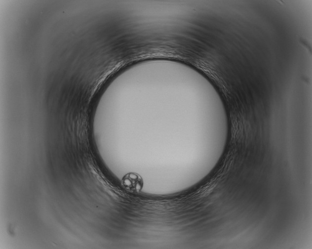 X0000100980304200806241154
