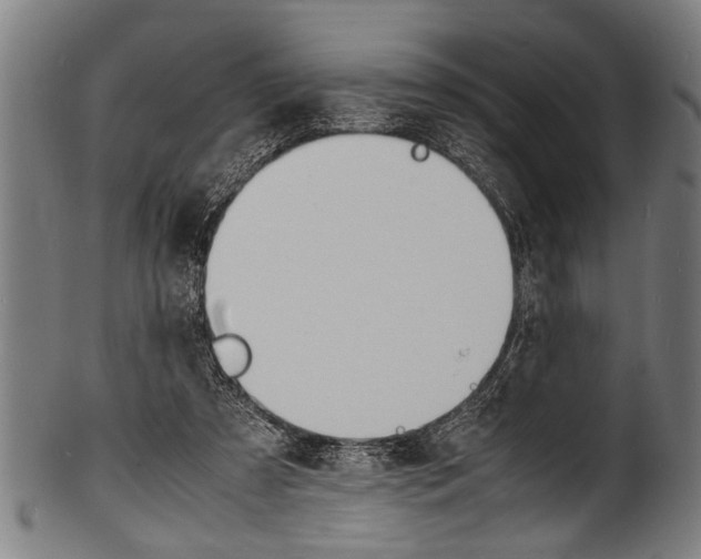 X0000100980305200806241154
