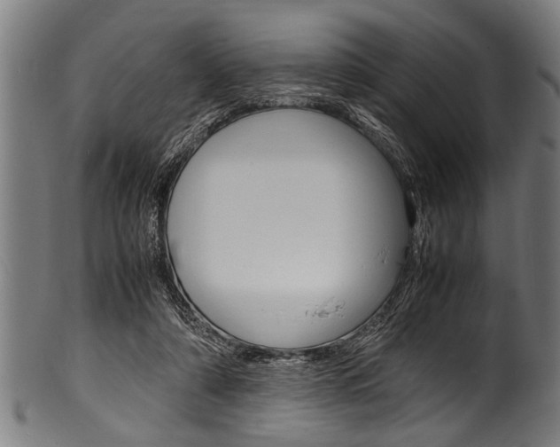 X0000100980306200806241154