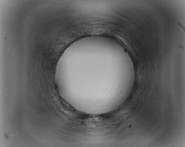 X0000100980307200806241154