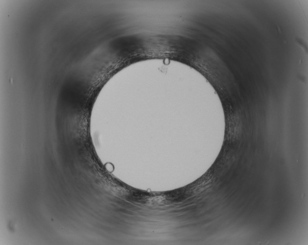X0000100980309200806241154