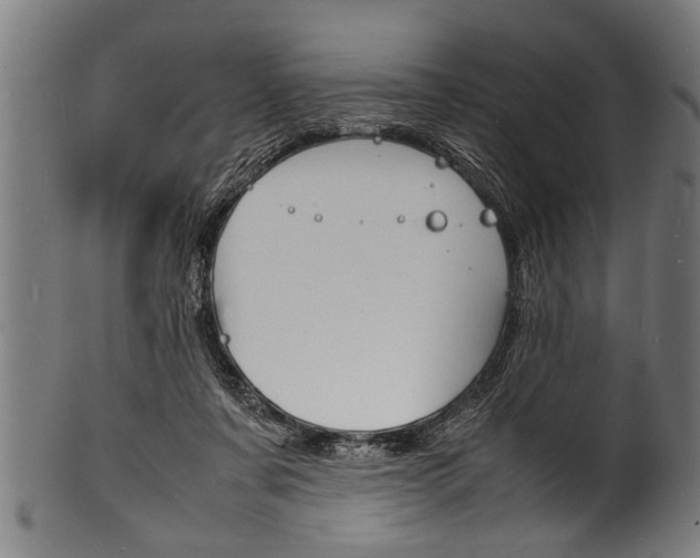 X0000100980311200806241154