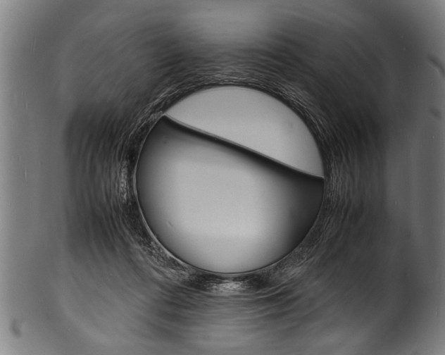 X0000100980312200806241154