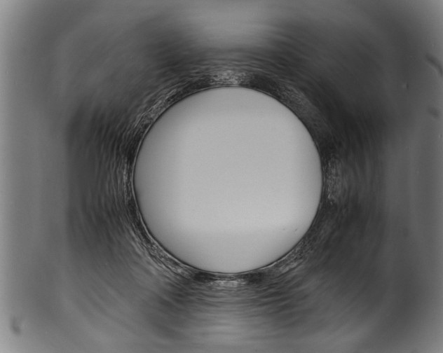 X0000100980314200806241154