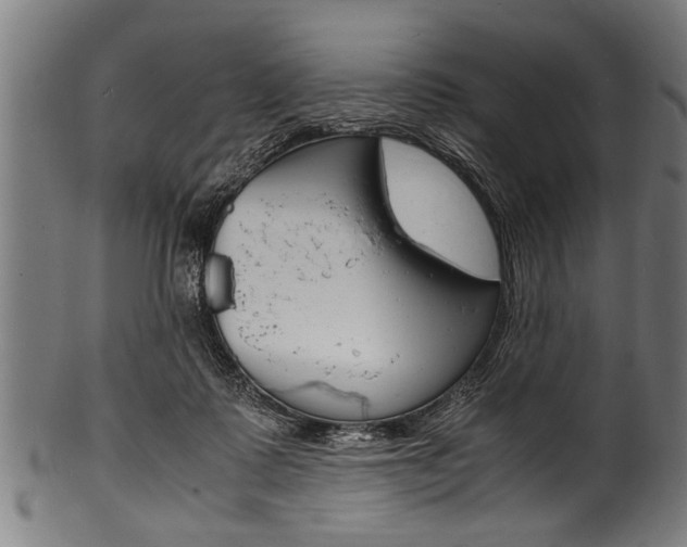 X0000100980315200806241154
