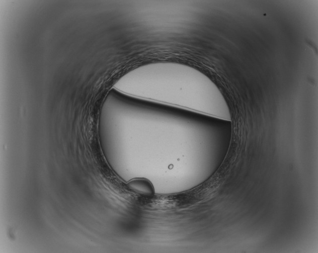 X0000100980319200806241154