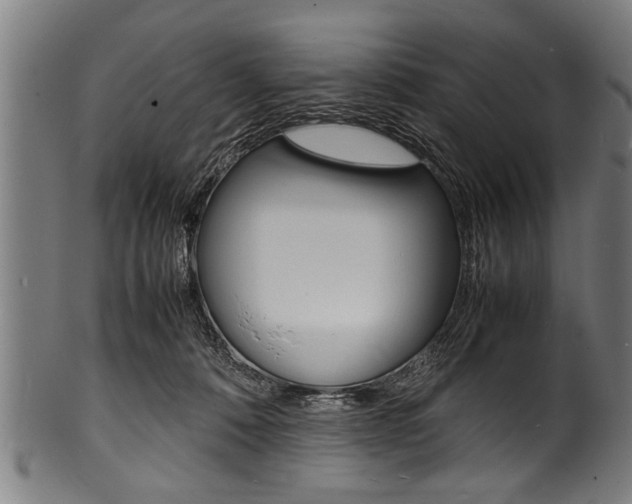 X0000100980320200806241154