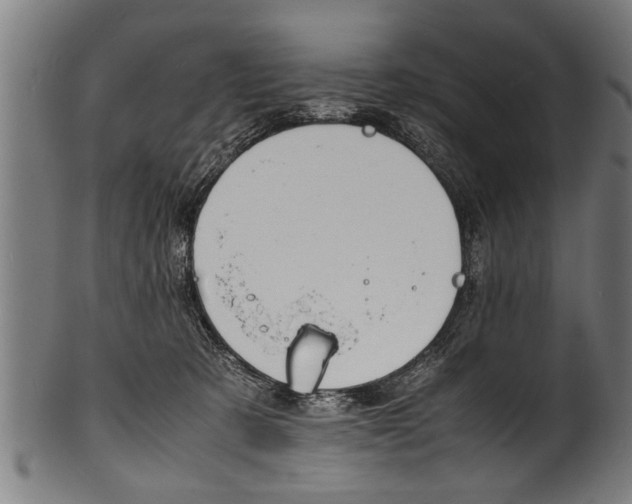 X0000100980321200806241154