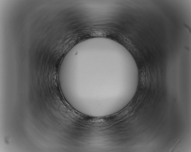 X0000100980322200806241154