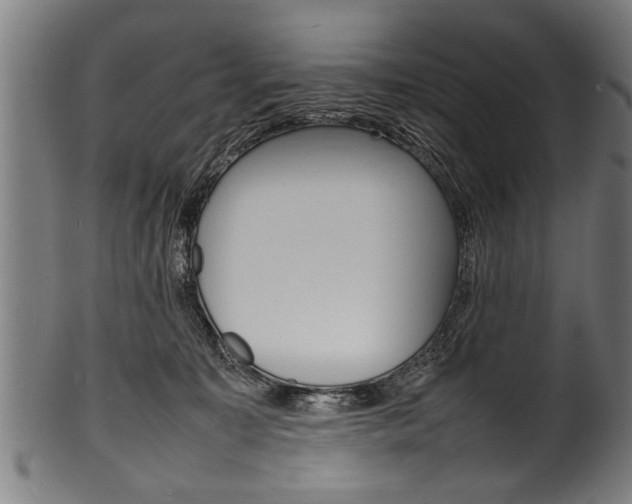 X0000100980323200806241154
