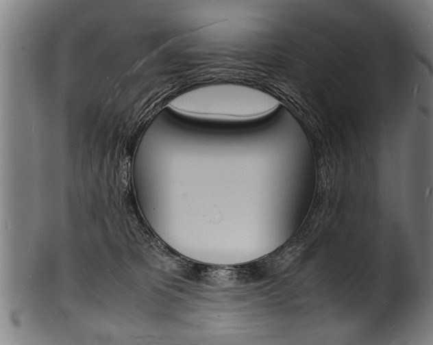 X0000100980325200806241154